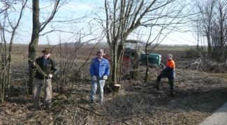 Heckenpflege erfolgt über Landwirte